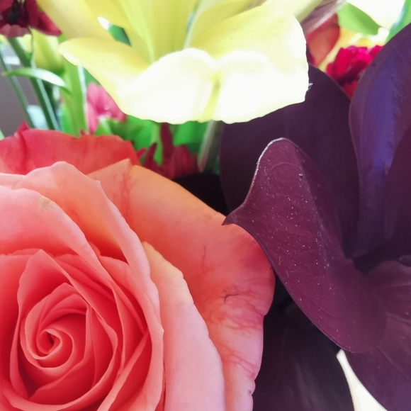 Meet your Posher, Dana - Picture 1 of 1